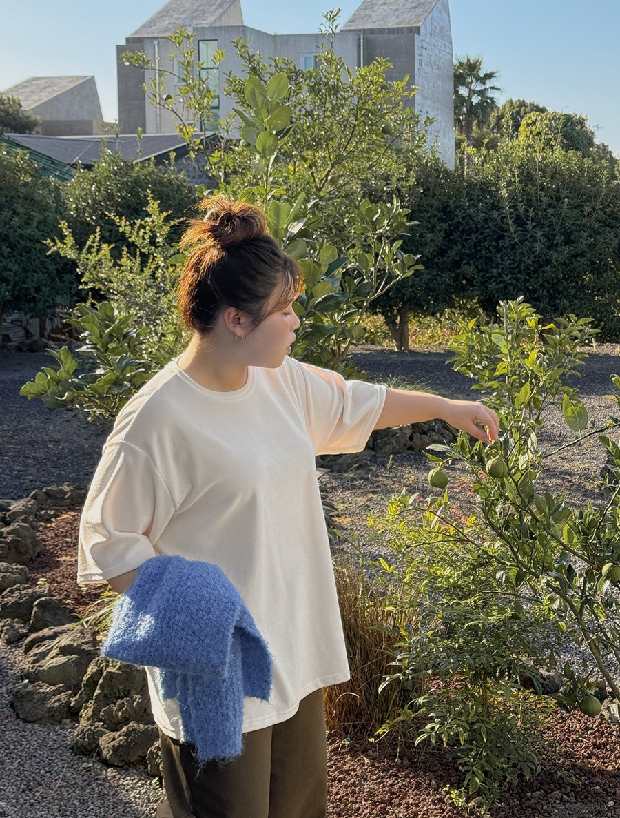 梅恩特·貝洛亞